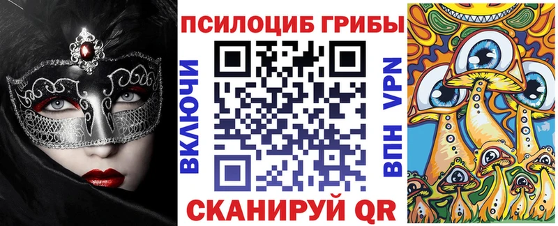 Галлюциногенные грибы Psilocybine cubensis  darknet клад  Новоалександровск 