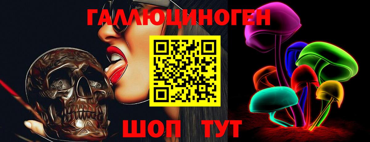 Псилоцибиновые грибы Psilocybine cubensis  Галлюциногенные грибы мицелий  Новоалександровск  Вход с VPN 